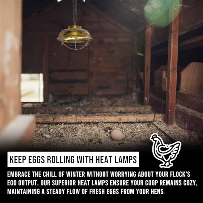 175-300 Watt Chicken Coop Heater, Professional Heat Lamp for Chickens, Chicks, Rabbit or Ducklings, Full Aluminum Alloy & Waterproof Heat Lamp for Chicken Coops