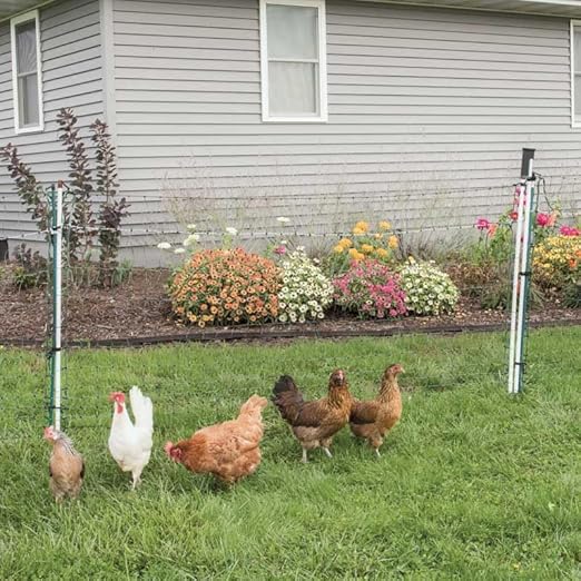 Premier 1 PoultryNet® 48"H x 20'L Electric Net Gate with Drivable Posts for Chickens, Ducks, Geese | Green/Black Net with White Posts (20' Length)