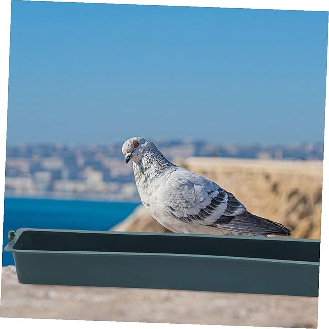 Alasum 2pcs Hanging Poultry Feeder Multi-Grid Thickened Plastic Chicken Food Trough Anti-Spill Feed Dispenser for Birds and Pigeons Cage Accessory