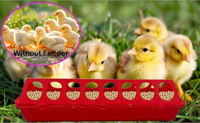 8 Pack Plastic Flip Top Chick Feeders Chicken Feeding Tray Poultry Quail Feeder Drinkder with Hole Trough Tool for Farm Chick Bird Pigeon Ducks Small Chick Grit FeeDuckling Feeder and Waterer Set