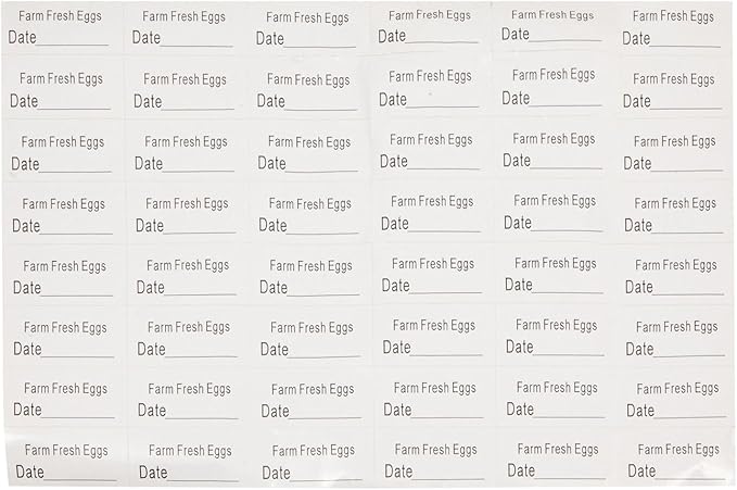 Stockroom Plus Clear Plastic Egg Cartons - Clear Containers with Date Labels - Bulk Egg Storage Set - Reusable Storage Containers - 12-Count, Pack of 48