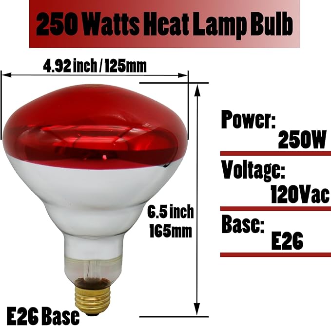 250 Watts Heat Lamp Bulbs, R40 Brooder Heat Lamp for Chickens, Infrared Reflector Heat Bulb for Brooder Coop Heater, Incandescent Heating Light Bulb for Food, Pet, Bathroom, Light Therapy, 2 Pack