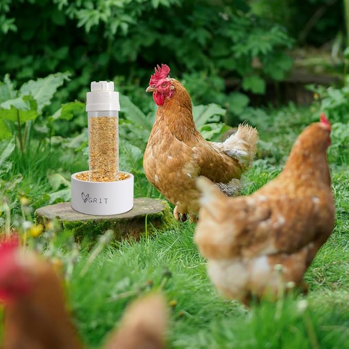 2 Pack Transparent PVC Chicken Feeder, Oyster Shell and Grit Feeder Hanging Ground Chicken Coop Feeder with Hanging Hook for Hens & Chicks (White)