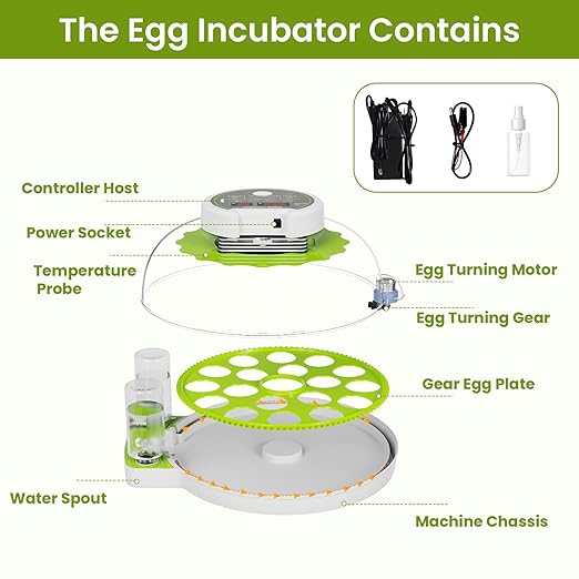18-Egg Incubator with Automatic Egg Turning & Humidity Control, HD Panoramic View, Built-in Candler for Hatching Chicken, Duck, Quail Eggs Farms, Science Labs, Classroom, Home Use