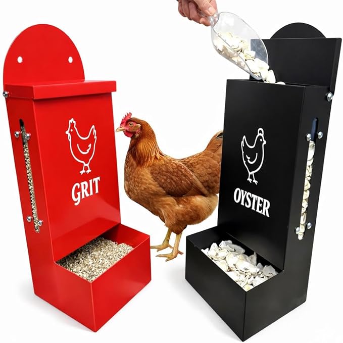 Premium Metal2 Packs Oyster Shell Feeder for Chicken with Viewing Window Grit Oyster rain Cover Fodder Crushed Alimento para Chicken Coop Accessories Improve Eggshell Quality and Hen Health