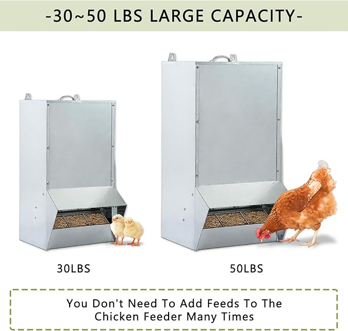 Galvanized Chicken Feeder Outdoor Poultry Feeder w/Lid Weatherproof,Easy refilling and Cleaning.NO Mess! NO Waste! (50LB Capacity)