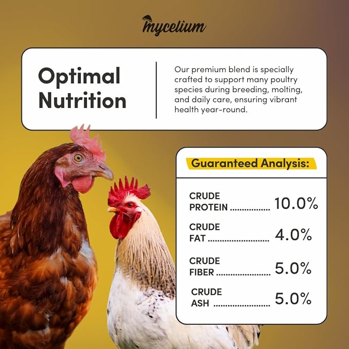 Mycelium Poultry Plus Feed (5 LB Bag) | Organic Poultry Food for Chickens, Ducks & Game Birds | Supports Growth, Feather Health & Energy | High-Protein, Omega-Rich Scratch Mix | USA Made, Non-GMO