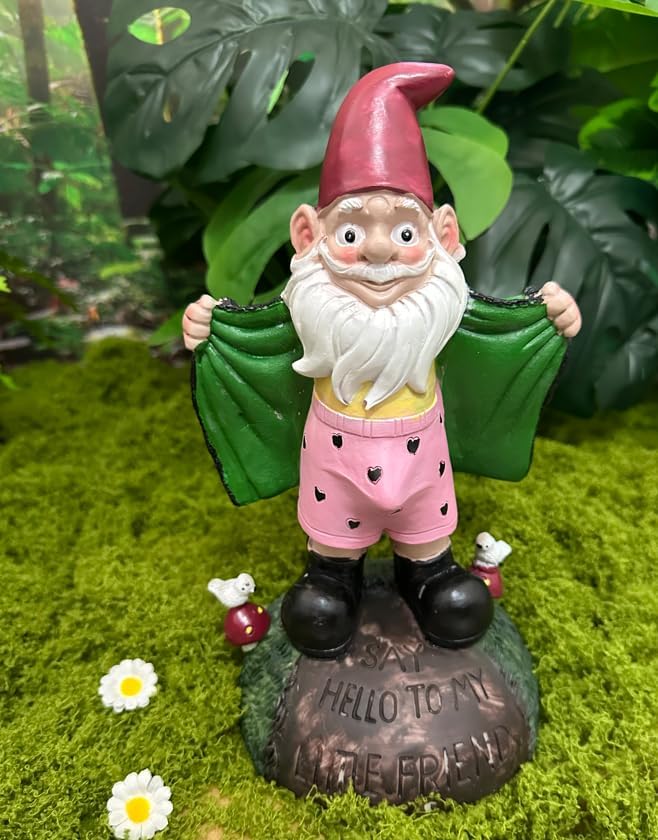 Teaeeno Funny Garden Gnome Statue - Say Hello to My Little Friends Sign, Weather Resistant Outdoor Decor, Patio & Yard Art, Unique Gift for Gardeners & Gnome Enthusiasts