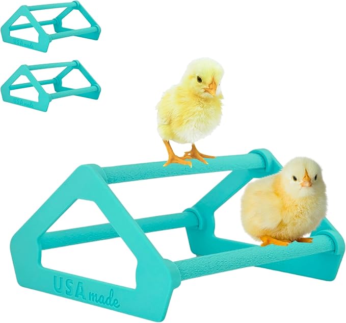 Roosting Perch for Baby Chickens, Chick Brooder Coop Training Toy Accessory, Easy Click Together Assembly, Durable Plastic, Mix and Match Colors, USA Made (Turquoise, 3 Pack)