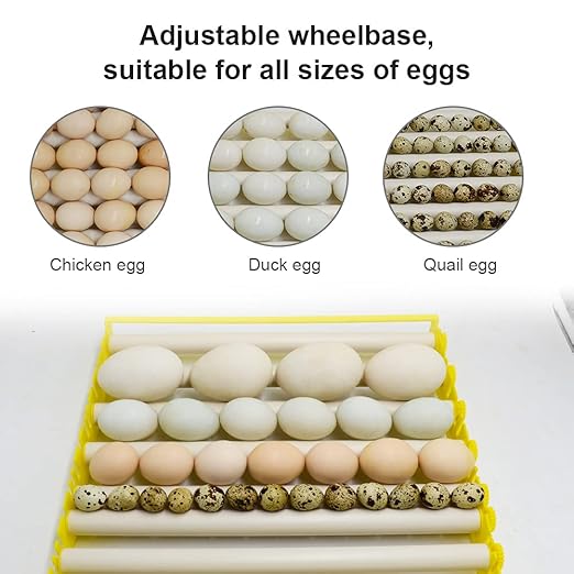 HBtree Automatic Multifunction Incubator Egg Tray Turning Hatcher for Chickens/Ducks/Birds/Poultry（13 Tubes）