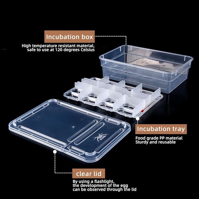 20 Grids Reptile Breeding Box, Reptile Egg Incubator Plastic Reptile Egg Incubator Tray Amphibians Hatchery Box Case for Hatching Gecko Lizards Lions Mane Without Thermometer