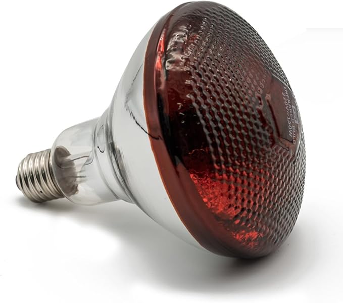 Infrared Heat Lamp Waterproof Anti-Explosion Light Bulb for Piglet Chicken Duck Birds(250w,120v)