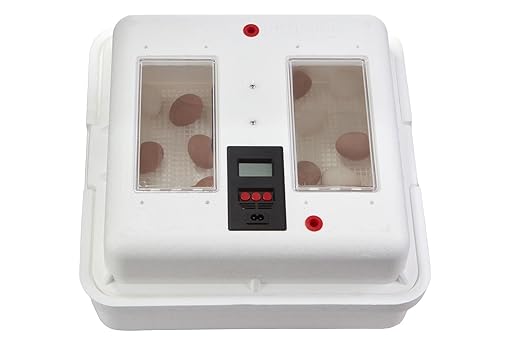 Little Giant® Digital Still Air Incubator | 41 Egg Capacity | Chick Egg Hatching Incubator with Temperature and Humidity Control | Made in USA