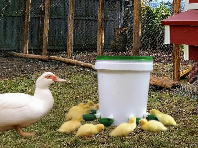 Farmight Automatic Poultry Waterer Kit – Leak-Free Large Self-Filling Cups with Drill Bit for Chickens, Ducks, Quail, Geese & Turkeys - 10 Pack