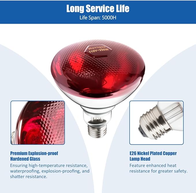 250W Heat Lamp Bulbs 1 Pack Infrared Heat Lamp for Chickens with E26 Socket and 5000 Hours Lifespan Heat Light Bulb for Pets Chicks Reptile Food Service Brooder Coop(2 Pack)