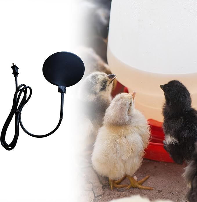 Bird Bath Heater, Chicken Water Heating for Outdoors Heavy Duty US Plug Silicone Rubber for Patio Yard Duck Winter, 20W