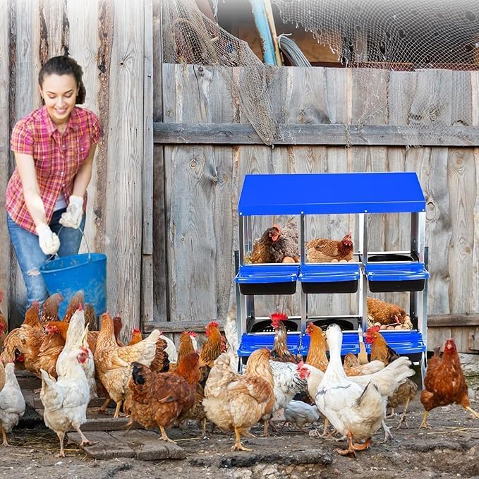 Chicken Nesting Box, 6-Compartment Egg Laying Box, Convenient for Collecting Eggs, Ventilated Poultry House Equipment in Metal Chicken Coop, Suitable for Hens and Ducks, (Blue, with Stand)