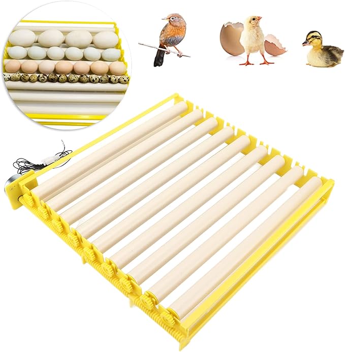 Fully Automatic Egg Incubation Tray,Household Egges Incubator Plate Automatic Chicken Eggss Turning Tray Mini Incubator Hatcher Auto Eggs Turner with Motor for Chicken Duck Quail Egg(12V)
