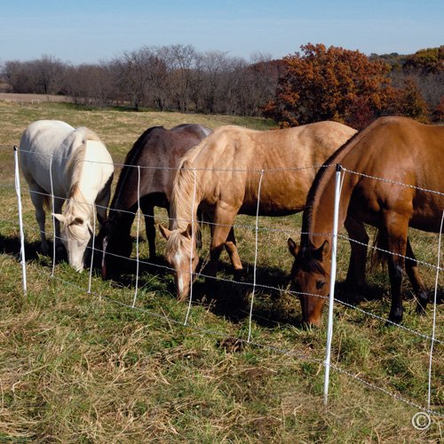 Premier 1 Horse QuikFence® Electric Netting | White/Black Double Spike – 48"H x 50'L