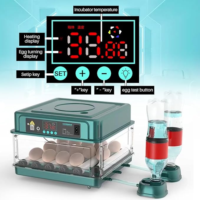 Automatic Egg Incubator 12-38 Egg Digital Poultry Hatcher Machine ith Automatic Egg Turning, Temperature & Humidity Control, Efficient LED Lighting for Chicken Geese Ducks Pigeons Quails (12 Eggs)
