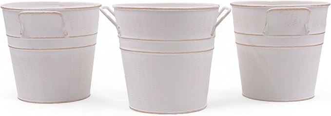 Hosley Set of 3 Whitewash Metal Bucket with PVC Liner, 5-Inch Height Plant Pot, Ideal for Floral Arrangements, Wedding, Home Office, Party, Garden Patio, DIY Indoor, Outdoor Garden.