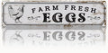 Rustic Farmhouse Style Chicken Coop Sign, Metal Outdoor Chicken House Signs, Farm Fresh Eggs Signs, Retro Metal Tin Sign, Farmhouse Decor, Backyard Hen House Gift 15.8x4 Inch