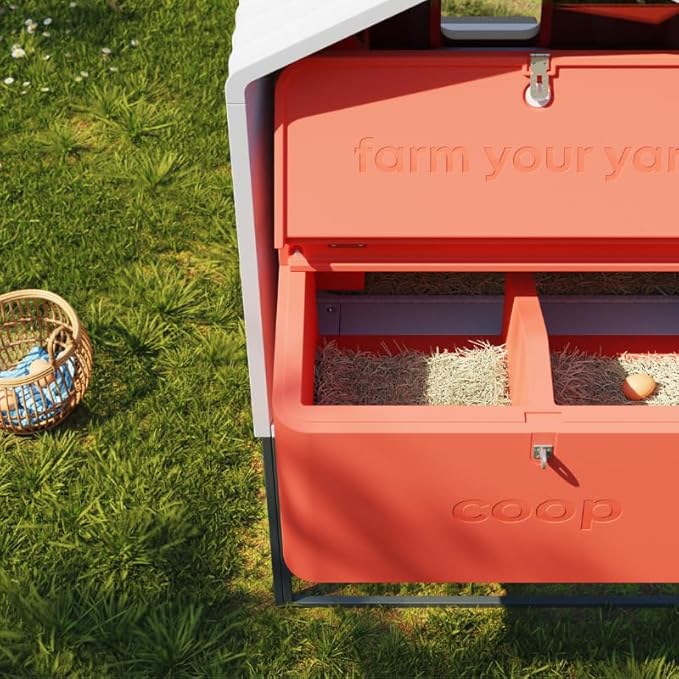 Smart Coop with Base – Weatherproof, Predator-Proof Chicken Coop with Dual Smart Cameras, Automatic Door, Solar Optional for 4-6 Chickens