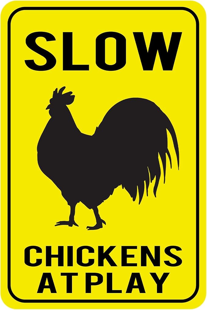 Chicken Coop Tin Sign for Home Farm Kitchen Outdoor Decor, Funny Chicken Saying, 12x8 Inch, 3 Styles (Color 2)
