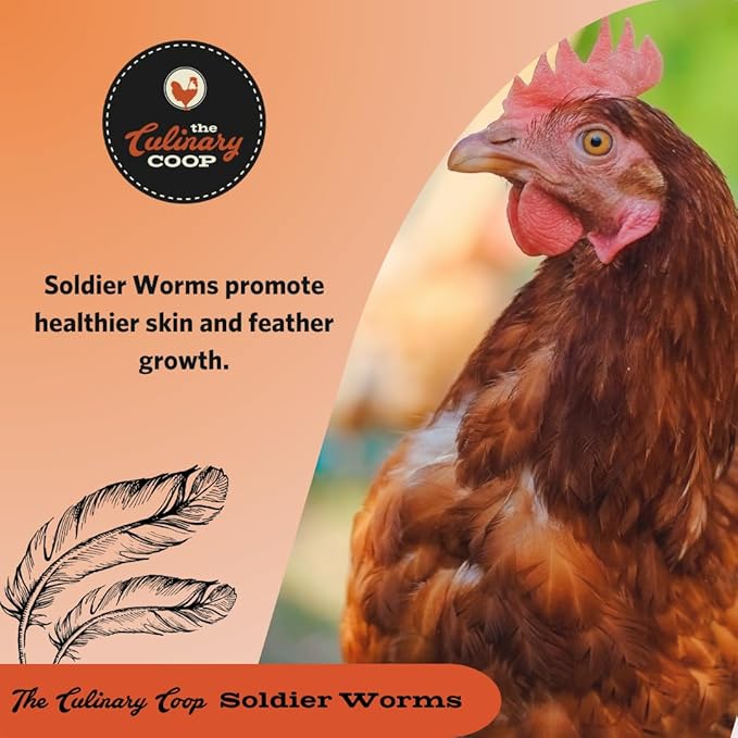 Fluker's Culinary Coop Bulk Dried Soldierworms, Premium Organic Dried Soldierworms for Chickens-High Protein & Omega3 Chicken Feed for Wild Birds, Reptile,& Chicken Treats for Laying Hens, 5lbs