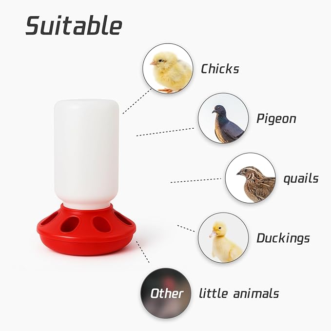 Baby Chick Feeder, Waste Free Chicken Feeder Jar, Duckling Feeder for Pigeon, Birds & Small Flock Feeding, 1 Quart Poultry Feeder with 8 Feeding Holes.