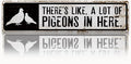 Pigeon Metal Signs, There's Like A Lot Of Pigeons in Here Sign 15.8x4 inches, Decorative Metal Signs for Farm, Home, or Garden, Pigeon Outdoor Sign, Gift for Pigeons Keeper