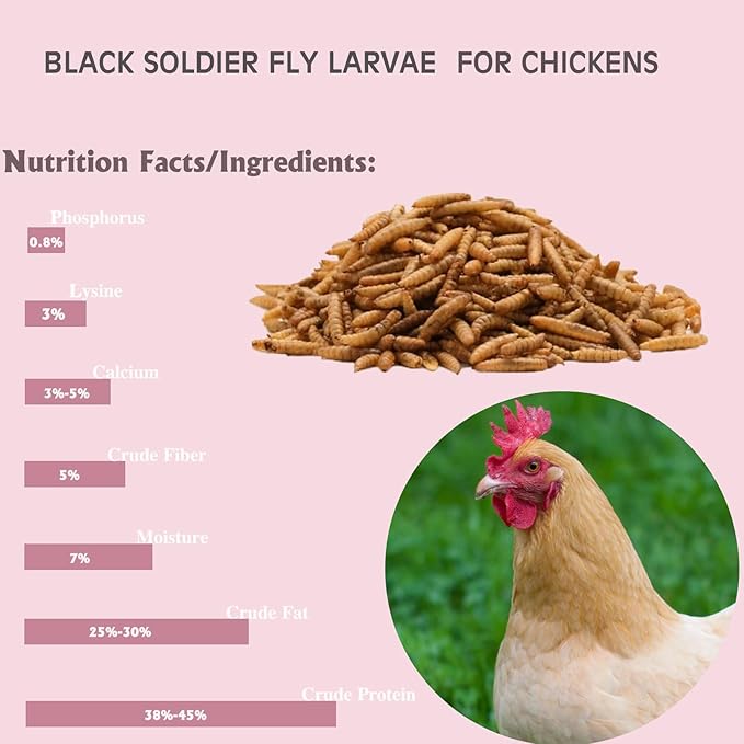 PROSECT 10LB Black Soldier Fly Larvae for Chickens,More Calcium Than Dried Mealworms,High Protein,Food of Natural Non-GMO Chicken,Treat for Laying Hen, Ducks, Wild Birds,Turtles