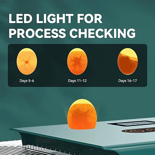 Ovatt 25 Egg Incubator, Automatic Poultry Hatcher with Digital Temperature & Humidity Control, LED Display, Automatic Egg Turner for Chicken, Duck & Goose Eggs, Ideal for Home & Small Farms