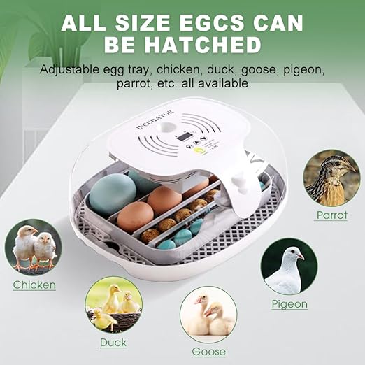 HOWOOIUA 16 Egg Incubator - Automatic Egg Turner, Temperature Control, Built-in Candler, Auto Water Refill for Hatching Chicken Eggs
