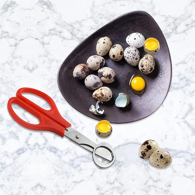 24Pack Stainless Steel Quail and Pigeon Egg Cutter Scissors Tool for Home Kitchen (Four Colors)
