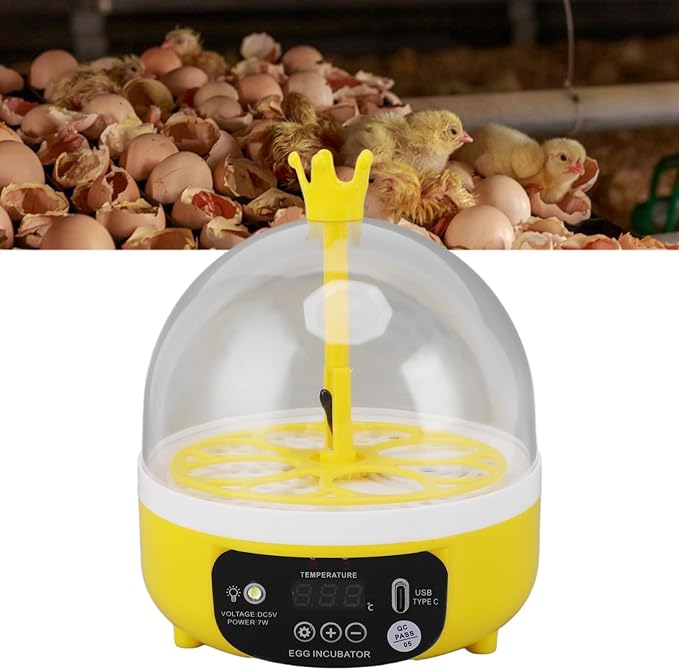 Mini Egg Incubator Automatic Temperature Humidity Control Chickens Ducks Pigeons Candler (Manual Turning)
