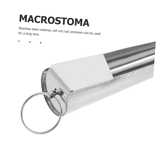 Homoyoyo Stainless Steel Feeder Scoop for Bird Seed Parrot Feeding Food Scoop Pet Feeder Bird House