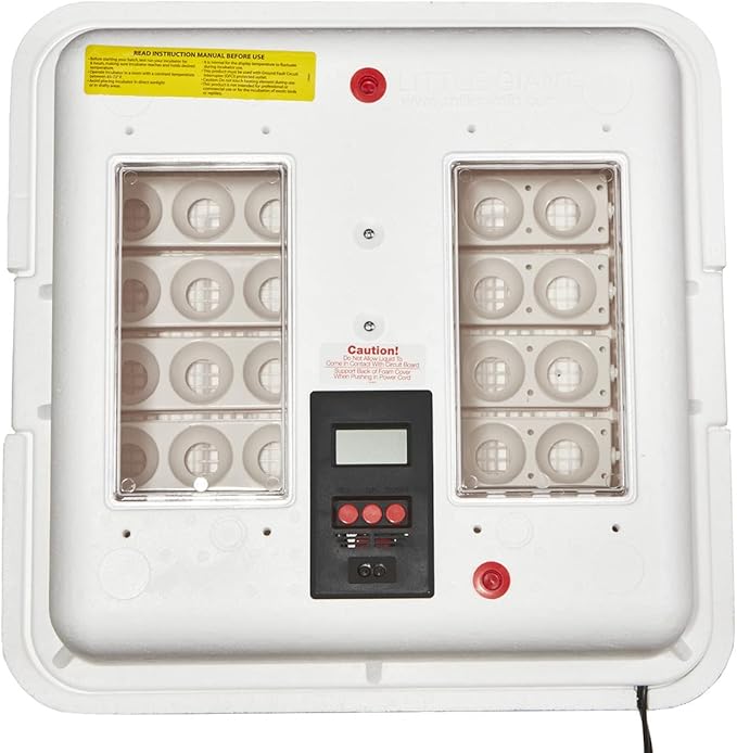 Little Giant® Digital Circulated Air Incubator with Automatic Turner | 41 Eggs | Egg Incubator with Fan and Egg Turner