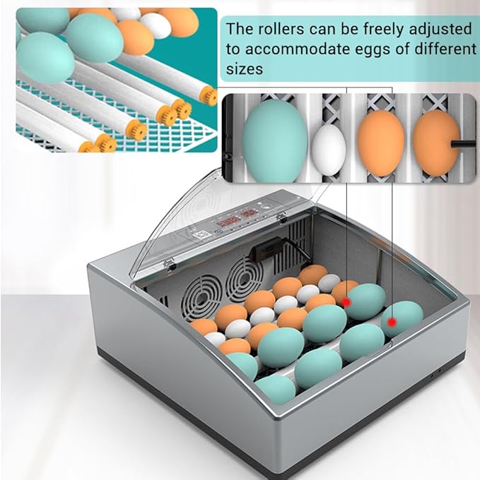 Egg Incubators for Hatching Eggs, Chicken Incubator for Eggs with Automatic Egg Turning and Humidity Control, for Hatching Chickens, Quails, Ducks, Geese，Parrots