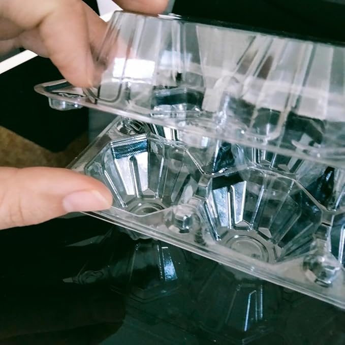 Limera Disposable Plastic Egg Cartons, Clear, 100 Pieces, Tray Egg Container Holder for Refrigerator (10 Egg Tray), Transparent