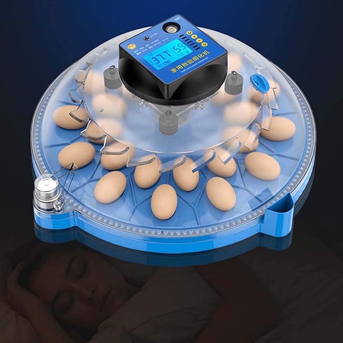 Egg Incubators, Round Poultry Hatcher, Automatic Temperature Control Digital Display Incubator, for Hatching Chick Duck Goose Pigeon Quail Bird Eggs (12 Pieces)