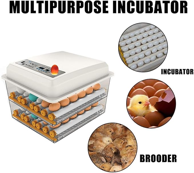 Automatic Incubator Egg Digital Egg Brooder with Temperature Display and Auto Turning for Chicken Goose Duck Poultry Hatcher (6 Egg)