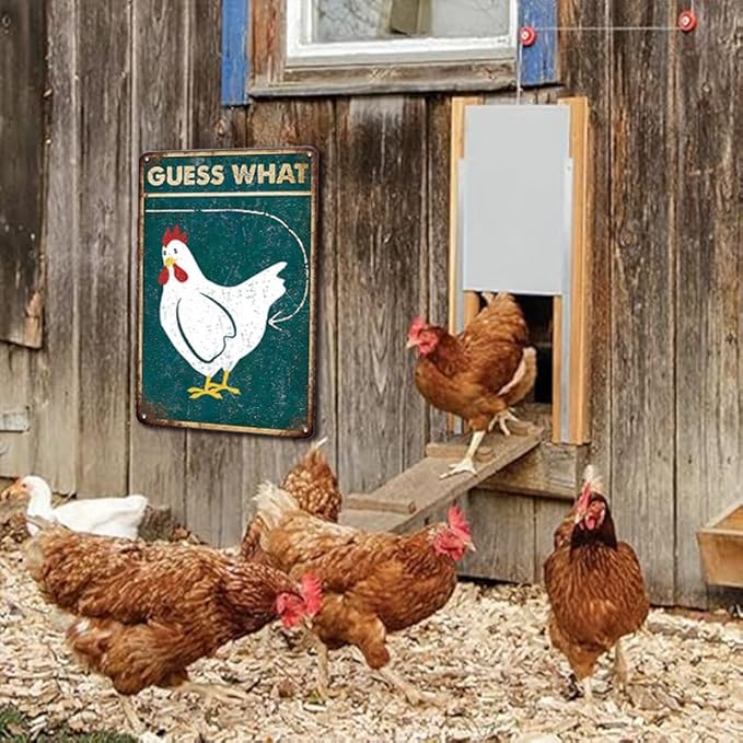 YOYI ART Funny Chicken Coop Sign for Outside - Guess What Chicken Butt, Rustic Vintage Metal Chicken Signs, Chicken Coop Decor Sign for Outdoor Farm Fence, Chicken Gifts for Women, 8 x 12 inch