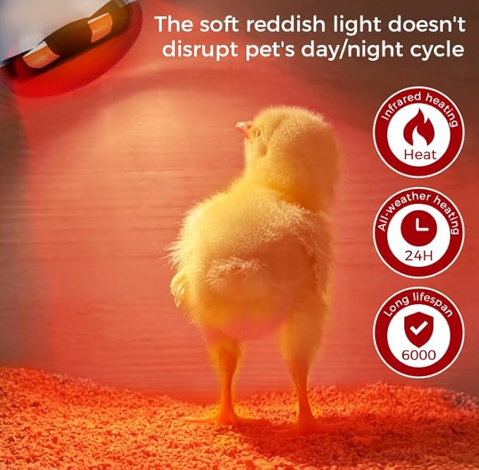 250W Heat Lamp Red Infrared Bulbs, Flood Light Heat Lamp Bulb for Food Service, Brooder Bulb, Chicks, Pet, Bathroom, Light Therapy Use, Glass, 2 Pack
