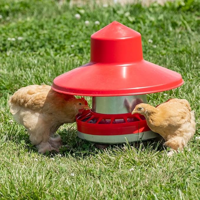 Premier 1 Galvanized Cone Feeder for Chickens & Poultry - 22 lb Capacity (Feeder Only)