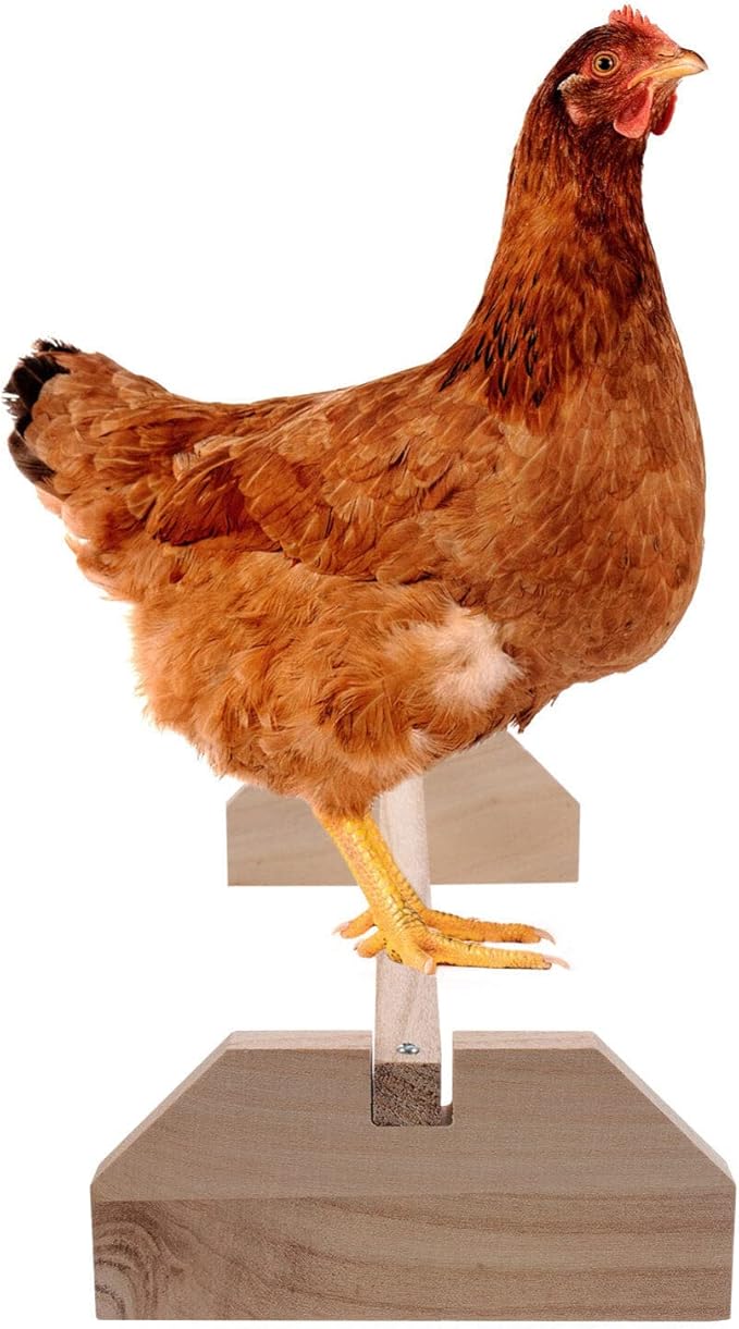 POPETPOP Natural Wood Chicken Perch Stand 15.7 Inch Indoor Roosting Platform Safe Rooster and Chick Play Accessory for Pet Birds