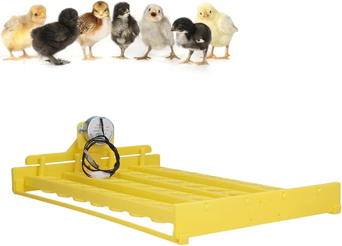 CUEA Plastic Egg Incubator Tray, Sufficient Power Safe Hatching Fully Automatic Egg Turner for Goose for Birds for Chicken(#1)