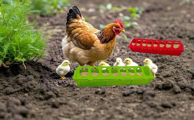 8 Pack Plastic Flip Top Chick Feeders Chicken Feeding Tray Poultry Quail Feeder Drinkder with Hole Trough Tool for Farm Chick Bird Pigeon Ducks Small Chick Grit FeeDuckling Feeder and Waterer Set