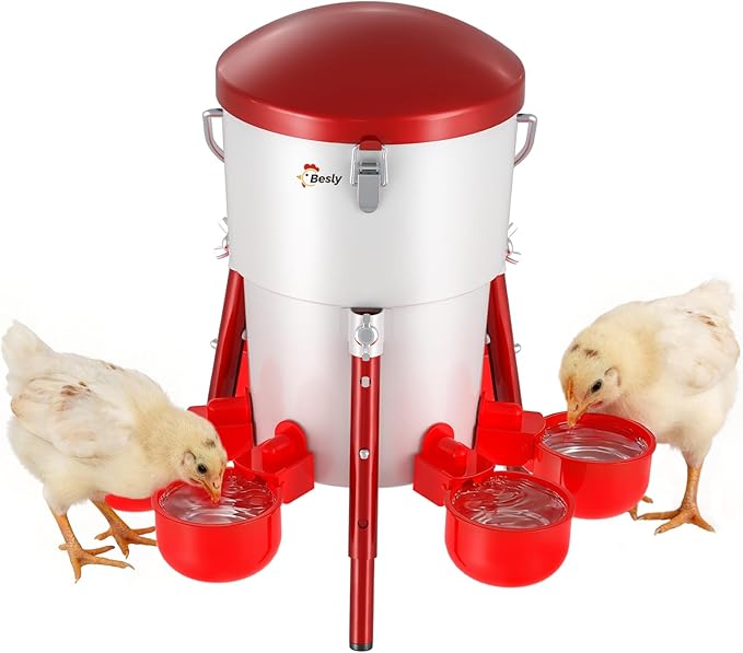 Metal Chick Waterer, Poultry Waterer Container Tank, Chickens, Ducks & Other Poultry for Enthusiasts, Agriculturists, and Ranchers, 0.5 Gallon