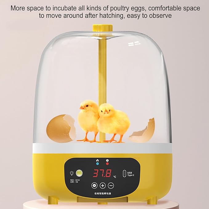 4 Eggs Incubator, Automatic Temperature and Humidity Control Eggs Hatching Incubator, Visual Low Noise Energy Saving USB Mini Poultry Hatcher for Eggs, Pigeon Eggs, Quail Eggs